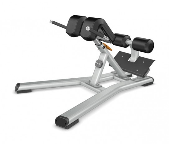 PRECOR Discovery Series DBR312 