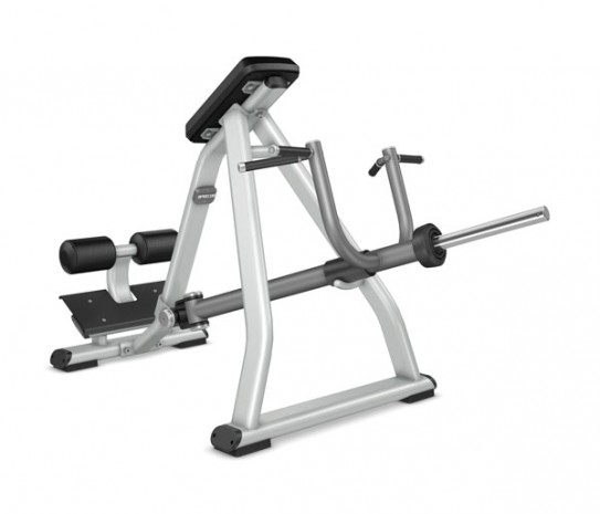 PRECOR Discovery Line DPL311