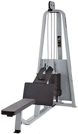 PRECOR/ICARIAN Icarian Selectorized Machines Longpull CW302KS 