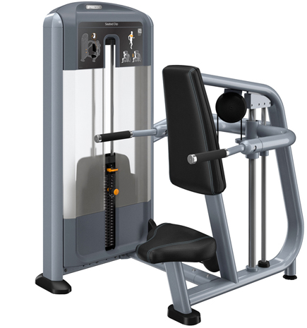 PRECOR Discovery Series Selectorised Line Seated Dip DSL215