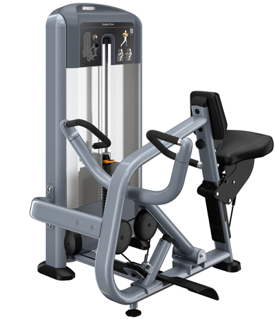 PRECOR Discovery Series Selectorised Line Seated Row DSL310