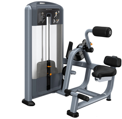 PRECOR Discovery Series Selectorised Line Back Extension DSL313