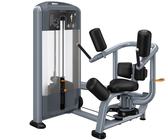 PRECOR Discovery Series Selectorised Line Rotary Torso DSL315