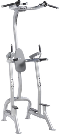 HOIST Commercial Freeweight Line Fitness Tree CF-3962