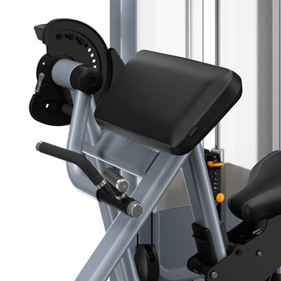 PRECOR Discovery Series Selectorised Line Bicep Curl DSL204