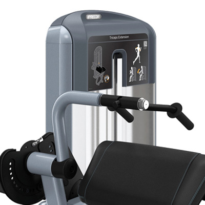 PRECOR Discovery Series Selectorised Line Tricep Extension DSL208