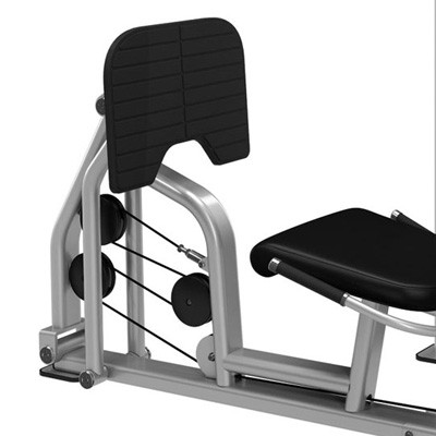 PRECOR Vitality Series Leg Press/Calf Extension C010ES 