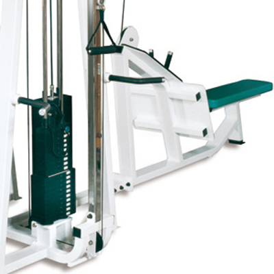 PRECOR Icarian Selectorized Machines CW2137