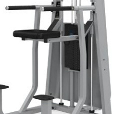 PRECOR/ICARIAN Icarian Selectorized Machines Dip Chin Assist CW320