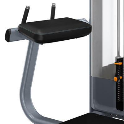 PRECOR Discovery Series Selectorised Line Glute Extension DSL618