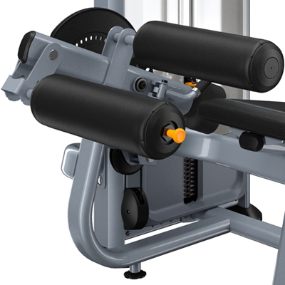 PRECOR Discovery Series Selectorised Line Seated Leg Curl DSL619