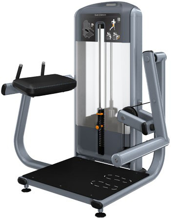 PRECOR Discovery Series Selectorised Line Glute Extension DSL618