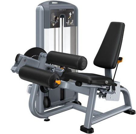 PRECOR Discovery Series Selectorised Line Seated Leg Curl DSL619