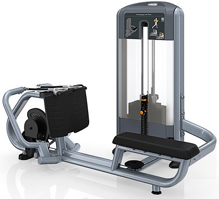 PRECOR Advanced Discovery Line Diverging Low Row DSL324 