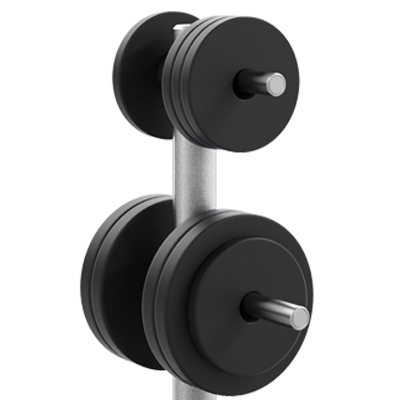 PRECOR Discovery Weight Plate Tree DBR817