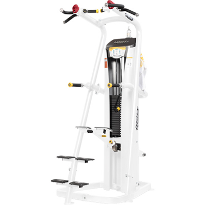 HOIST Roc-It Line Selectorized Chin/Dip Assist RS-1700 