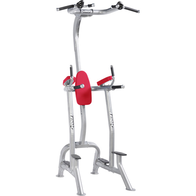 HOIST Commercial Freeweight Line Fitness Tree CF-3962