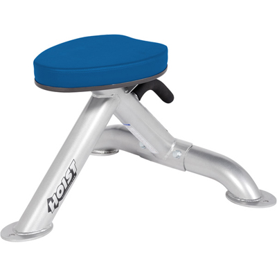 HOIST Commercial Freeweight Line Utility Stool CF-3950